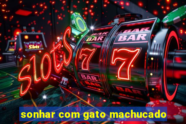 sonhar com gato machucado